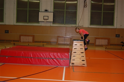 Obrázek v galerii
